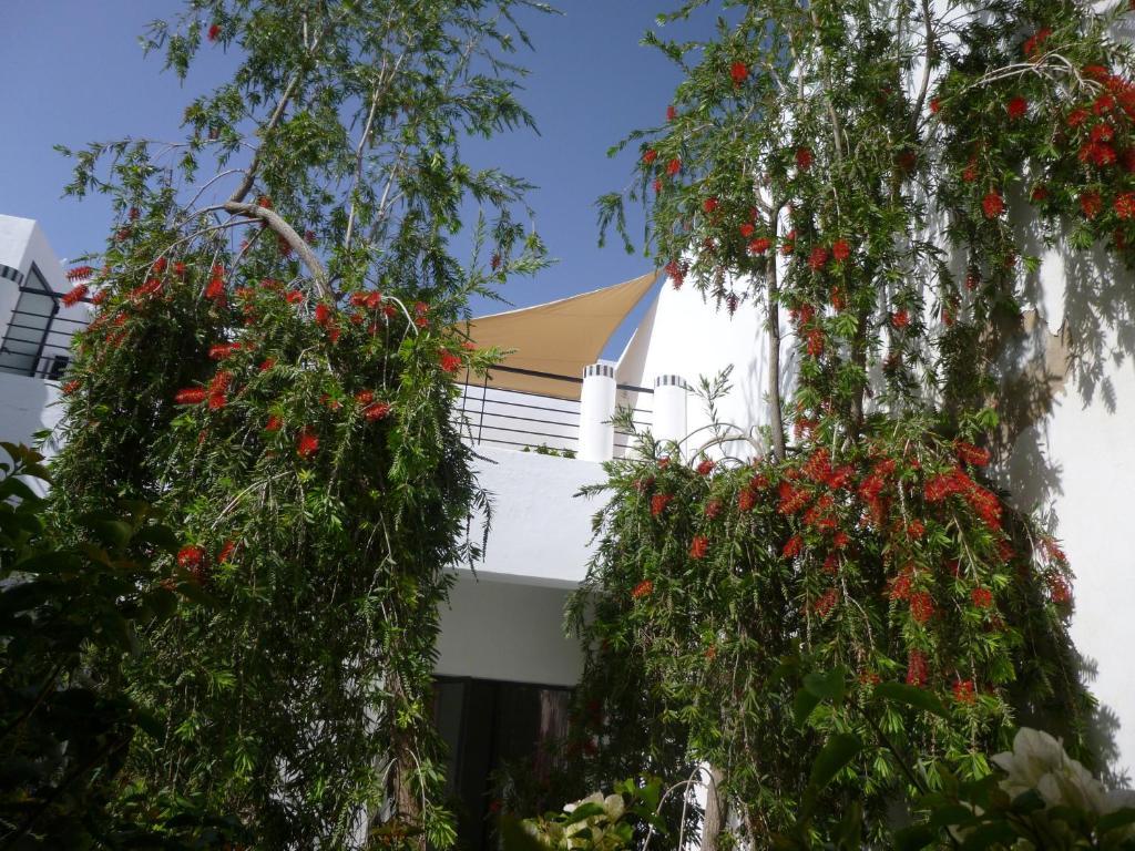 Riad Tchina 마라케시 외부 사진